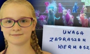 8-летняя девочка из Польши устроила распродажу и собрала больше 20 тысяч евро