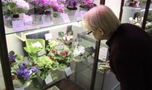 Цветущую «Улыбку Авроры» увидят посетители Омского историко-краеведческого музея