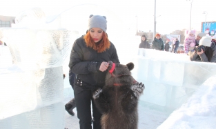 Дрессировщица Алия Такшантова выбрала сценический макияж для променада с медведем 
