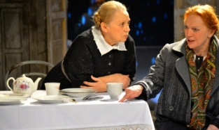 Мама Сергея Чонишвили оставила сцену Омского академического театра драмы... на время