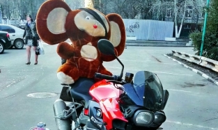 В Омск прибыл Чебурашка на мотоцикле