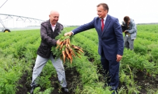 Вячеслав Синюгин надергал морковь, которую позже разобрали журналисты