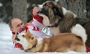 Такого, как Путин: президент РФ отметит свой день рождения в тайге