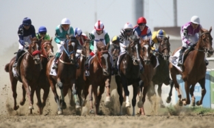 В Омской области пройдут конные соревнования
