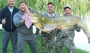 Кадыров похвастался гигантским сомом, выловленным на рыбалке