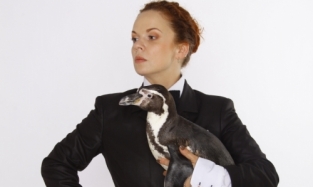Жизнь на чемоданах с пингвинами 