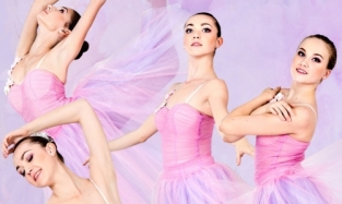 Красавицы из «Мира танца» больше не балерины