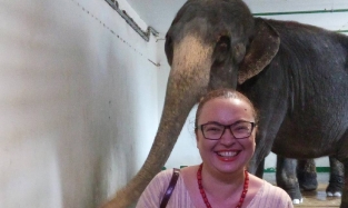 Прима ГТРК «Иртыш» Марьяна Киселева лично покормила слонов