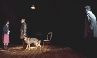 На сцене Омской драмы «Орфей спускается в Ад» в сопровождении собак