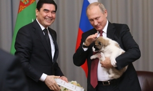Благодаря подарку президента Туркмении у Путина стало на одну собаку больше
