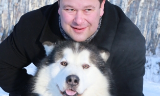 Константин Ткачев: «Маламут – очень человекообразная собака»