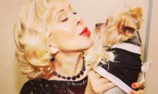 Любовь Успенская чуть не сорвала концерт в Омске, поссорившись со стюардессой из-за собаки