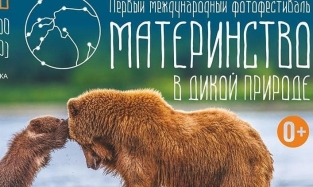 Фотовыcтавка «Материнство в дикой природе» приедет в Омск из Санкт-Петербурга