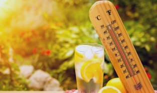 10 лайфхаков, который помогут пережить жару 