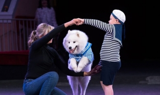 В Омском цирке прошел фестиваль дружбы собак и детей 