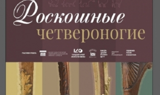 «Роскошные четвероногие» готовы вырваться из «конюшни» Омского музея Врубеля