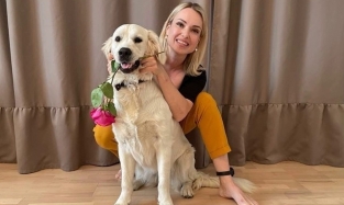 "Фигак и продать друга": Марина Овсянникова готова отдать собаку, чтобы оплатить штрафы 