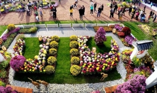 Омский город-побратим в Китае проводит фестиваль хризантем
