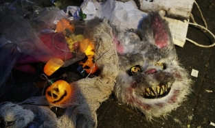 «Праздник» со слезами: премьер Южной Кореи назвал причины давки на Хеллоуин