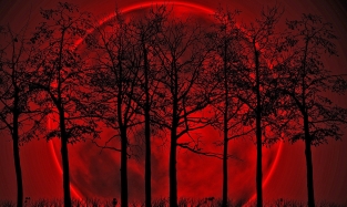 Завтра омичи увидят кровавую Луну