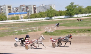 Эх, вы, кони залетные: в Омске открылся беговой сезон
