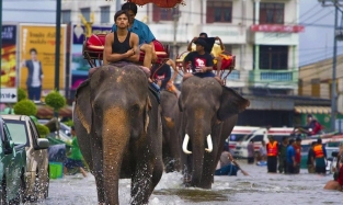 Осторожно, туристы: в Таиланде начался сезон дождей