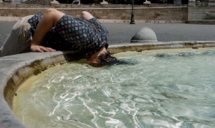 Климат на Земле катастрофически теплеет