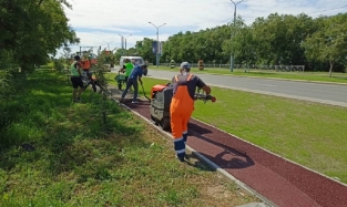 На Левобережье появятся велодорожки контрастного цвета