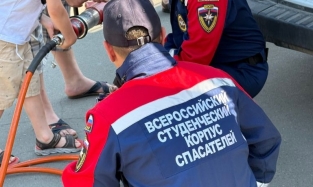 «Доброспас»: камуфляжная одежда и излишние метания по лесу мешают поиску заплутавших