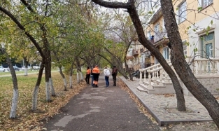 Яблони на Старозагородной роще будут и дальше радовать омичей