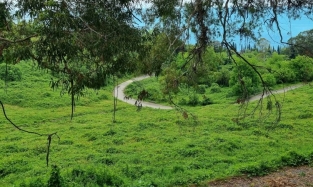 Цены на отдых в Абхазии с большой долей вероятности вырастут