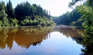 Омские туроператоры готовы показать омичам Шиш