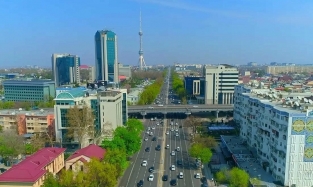 Прямой перелет до Ташкента обойдется омичам почти в 12 тыс. руб.