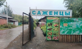 Железнодорожники намерены улучшить жизнь омским садоводам