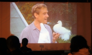 «Киносозвездие»: омичей объединили «Любовь и голуби» 