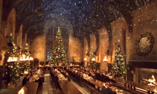 Фанатов «Гарри Поттера» пригласили встретить Рождество в Хогвартсе