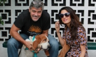В семье Джорджа и Амаль Клуни произошло пополнение 