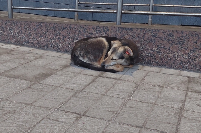 фото со страницы вк Светланы Саликовой