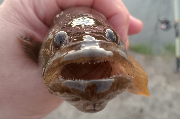 фото из паблика вк 