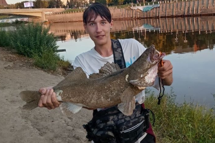 фото из паблика 