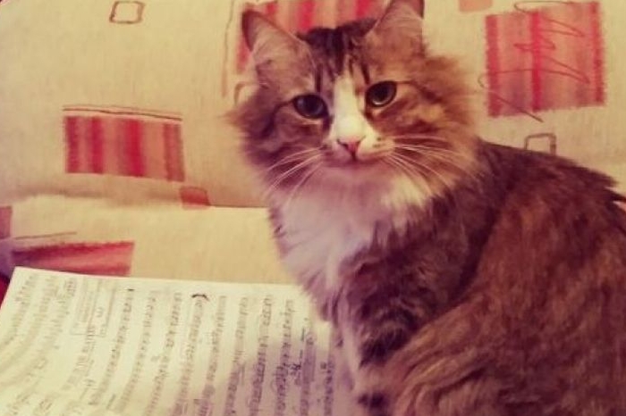 фото из соцсетей Марии и Павла Якишиных