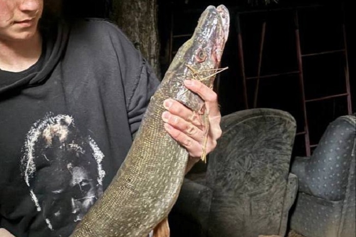 фото из паблика вк 