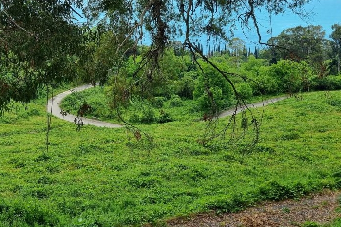 фото VK Алексея Пантелеева из соцсетей Алены Ершовой