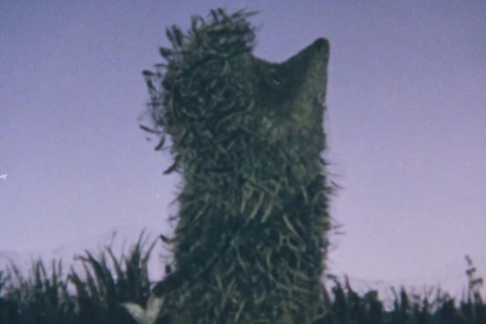 фото скрин с видео