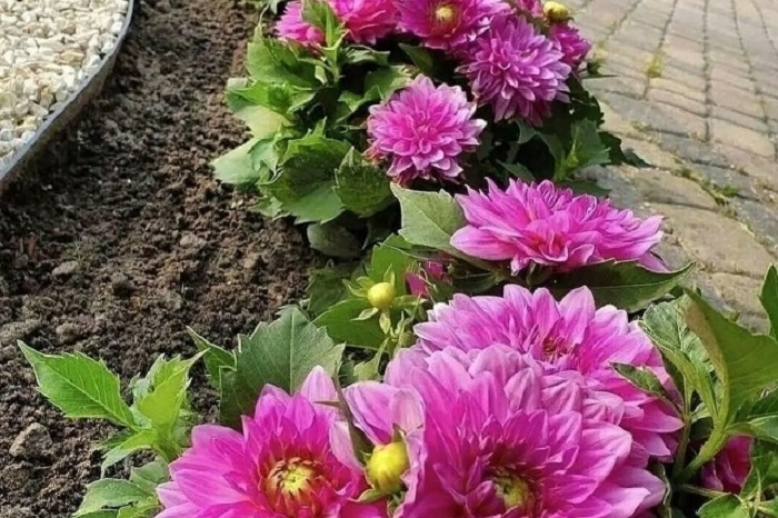 фото vk